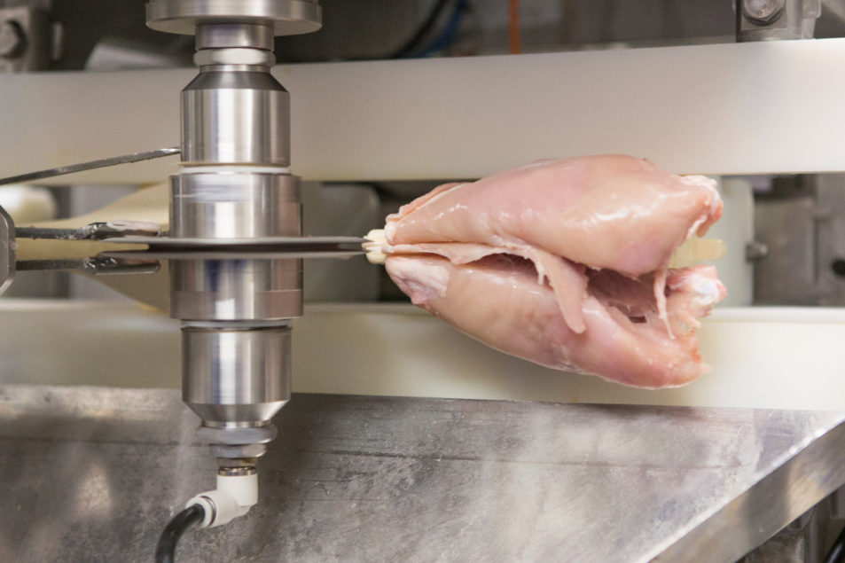 Ergonomic Risks in Poultry Deboning