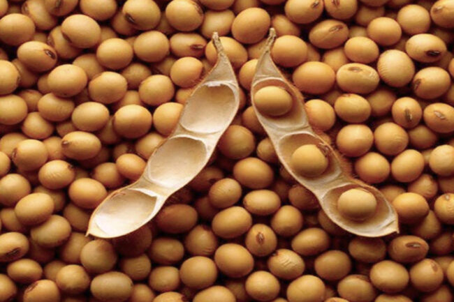 Soybeans