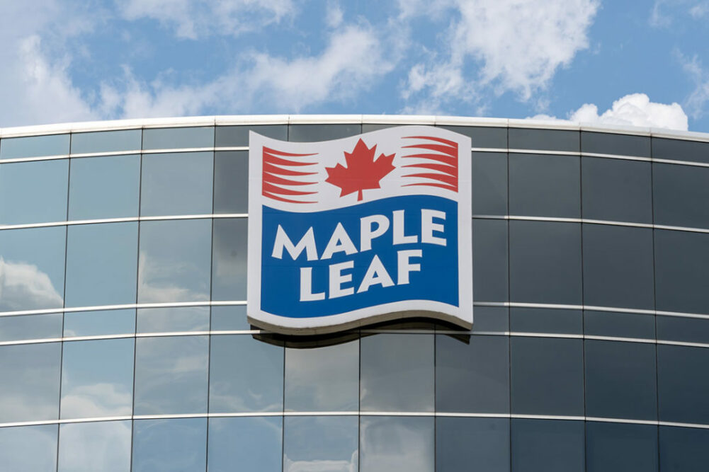 MapleLeafLead.jpg