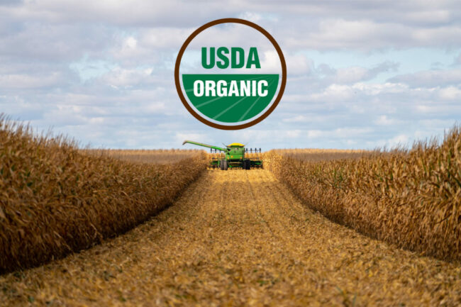 USDAOrganicAcres_Lead-AdobeStock-Jordan-Loscher-and-USDA.jpg