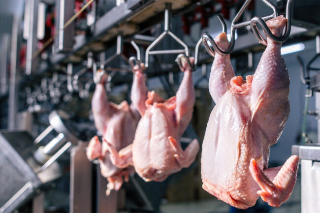 Poultry processing