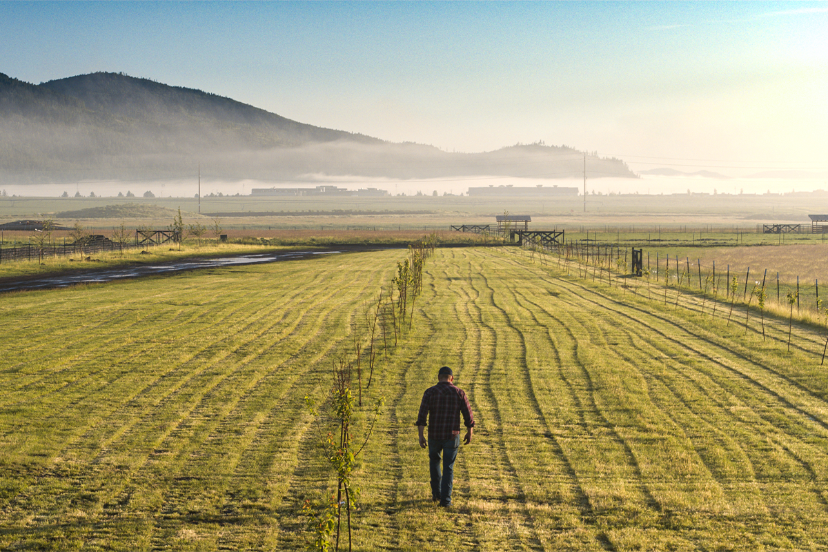 Man walking across farm