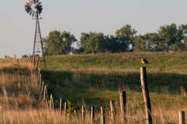 Cargill regenerative agriculture.jpg