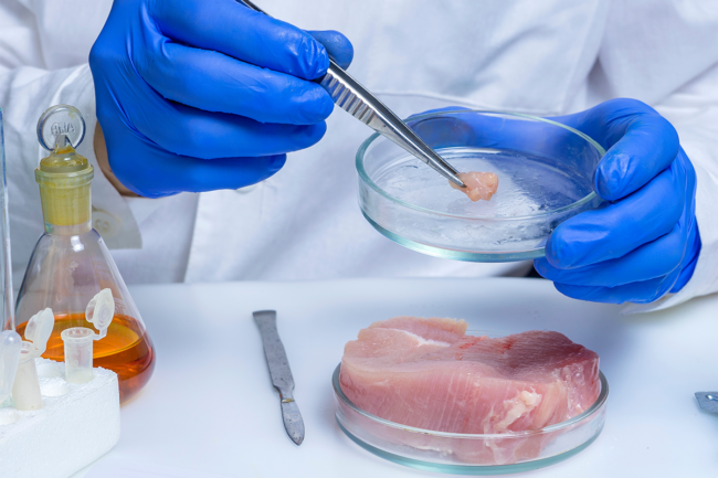 Scientist inspecting poultry