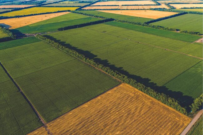 farm fields