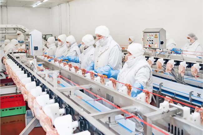 Poultry processing line workers