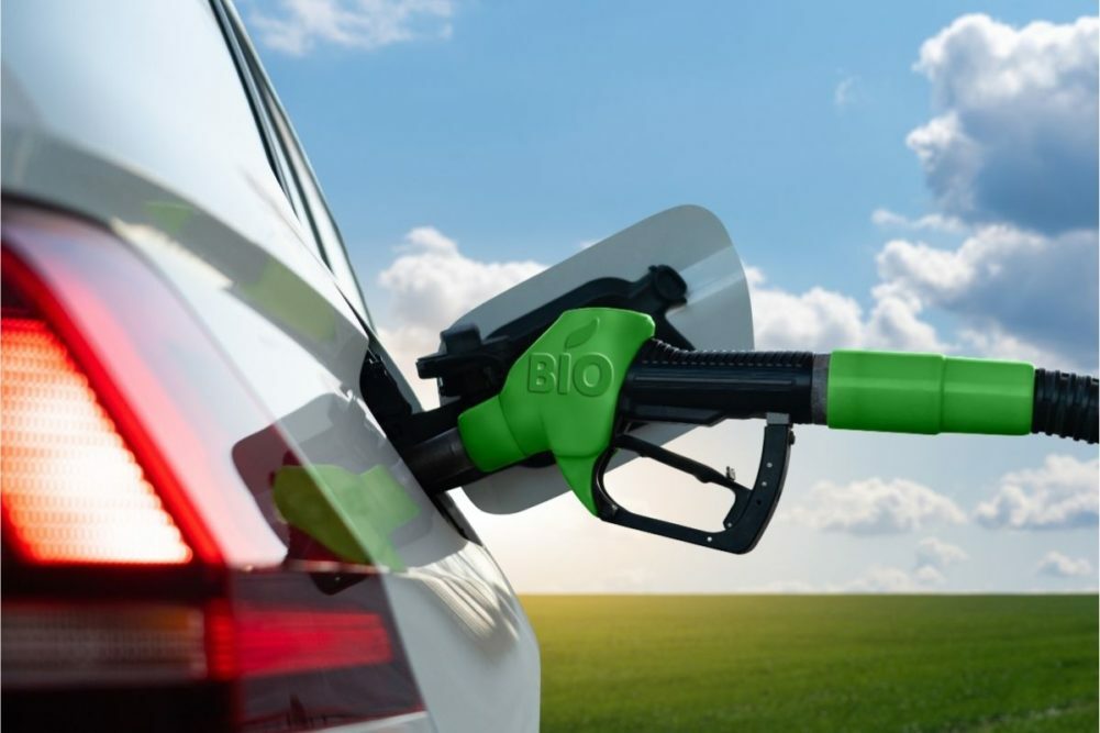 Ethanol_biofuels_SCHARFSINN86---STOCK.ADOBE.COM_e.jpg