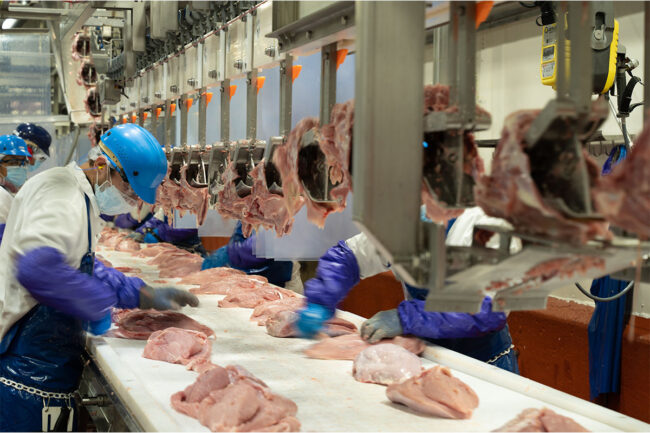 Cooper Farms line workers debone chicken