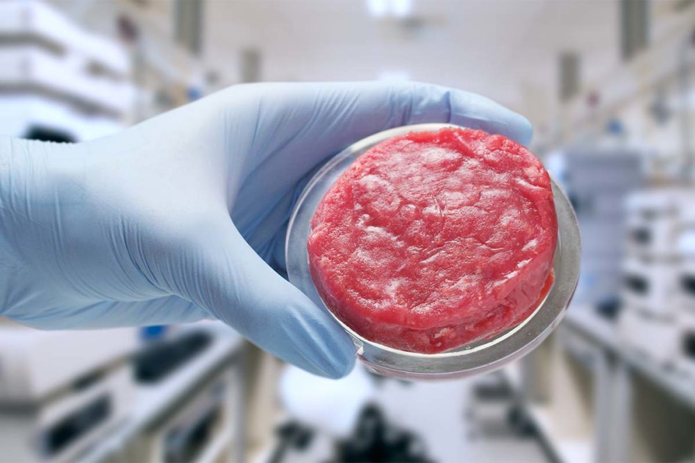 cultivated meat in a petri dish