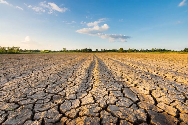 Dry soil on a plot of farm land