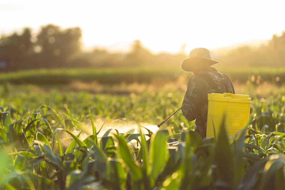 Farmer using chemical sprayers on fields