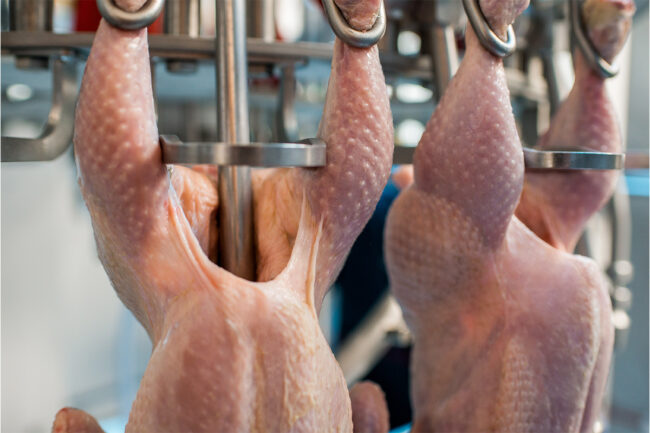 Poultry processing tech