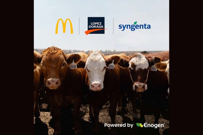 Syngenta small 2.jpg