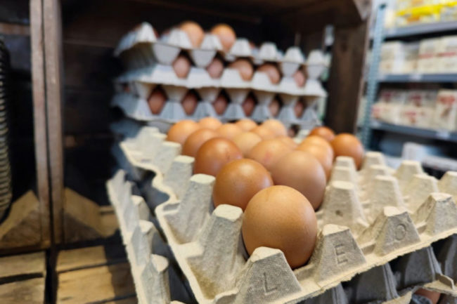 Large carton of brown eggs