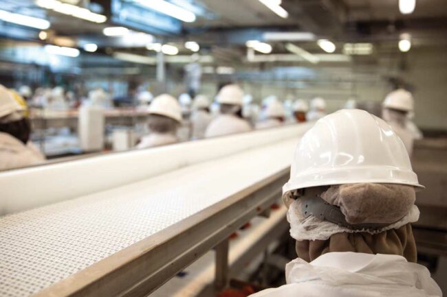 workers in processing facility