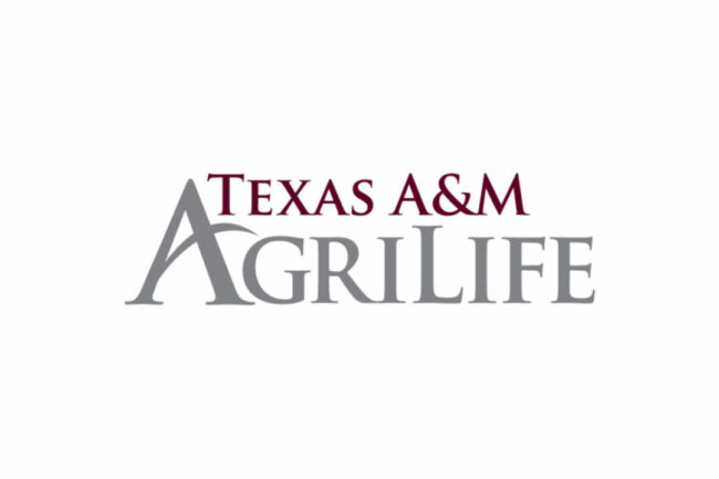 Texas A&M Ag