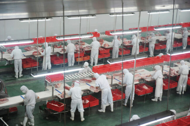 Meat Processing