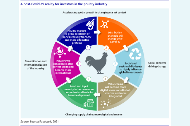 Rabobank poultry