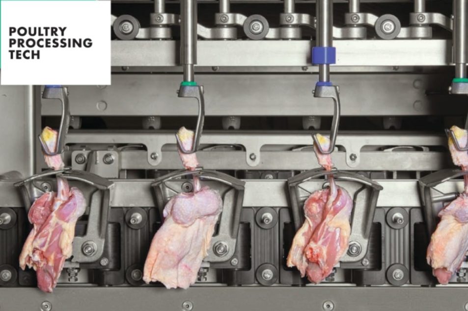 Ergonomic Risks in Poultry Deboning